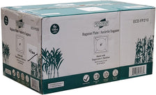 Eco-Craze - 8 Eco-Craze - 8