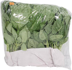 Fresh - Basil Green Fresh - Basil Green