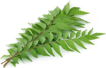 Fresh - Curry Leaves Fresh - Curry Leaves