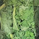 Fresh - Green Kale (Bunch) Fresh - Green Kale (Bunch)