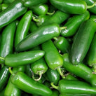 Fresh - Jalapeno Peppers Fresh - Jalapeno Peppers