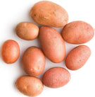 Fresh - Potato - Red Fresh - Potato - Red