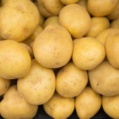 Fresh - Potato - Yukon Gold