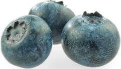 Fresh - Blueberry Fresh - Blueberry