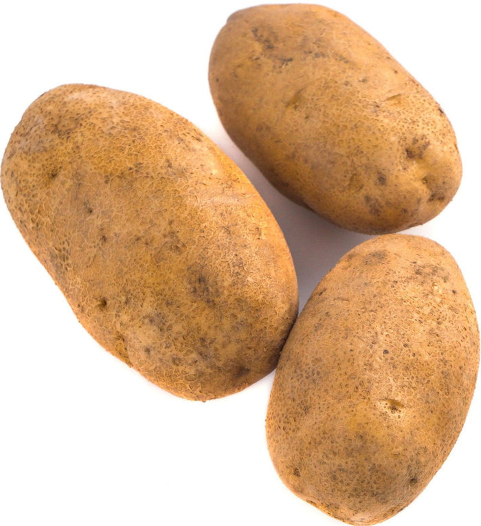 Fresh - Potato - Large - Russet Bag / Box