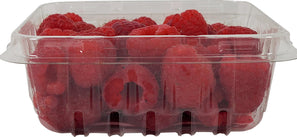 Fresh - Raspberry Fresh - Raspberry