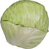 Fresh - Cabbage - Green