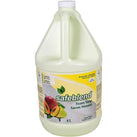 Safeblend - Foam Soap - Mango & Papaya Safeblend - Foam Soap - Mango & Papaya