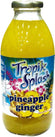 Tropik Splash - Juice - Pineapple Ginger - Bottles Tropik Splash - Juice - Pineapple Ginger - Bottles