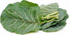Fresh - Collards