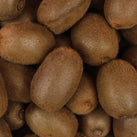 Fresh - Kiwi Fresh - Kiwi
