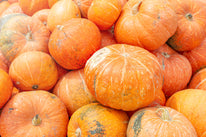 Pumpkin Halloween - Small Pumpkin Halloween - Small
