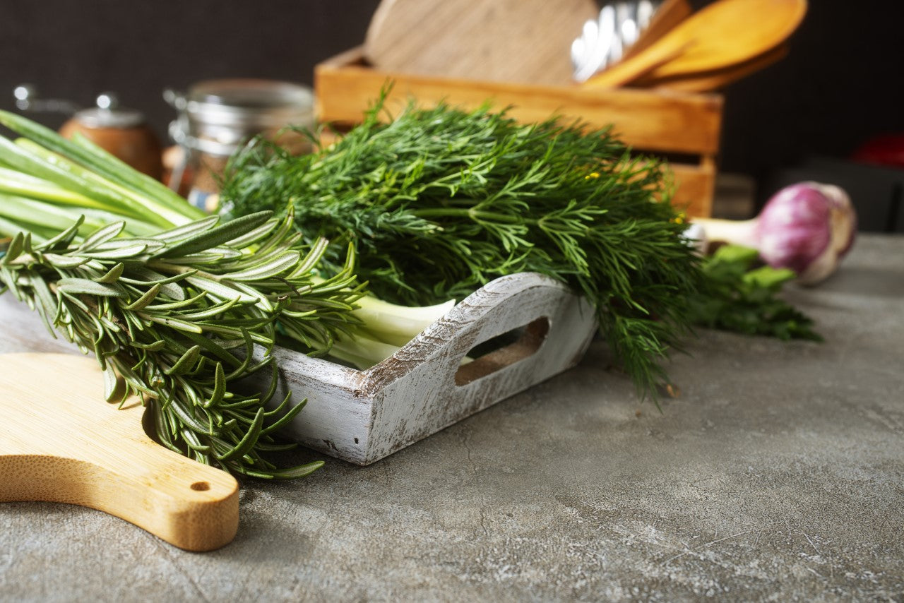 The Most Popular Types of Herbs & Their Usage in Everyday Cooking