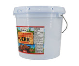 Grace - Jerk Seasoning - 9lb