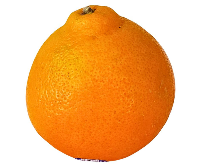 Fresh - Orange Minneola