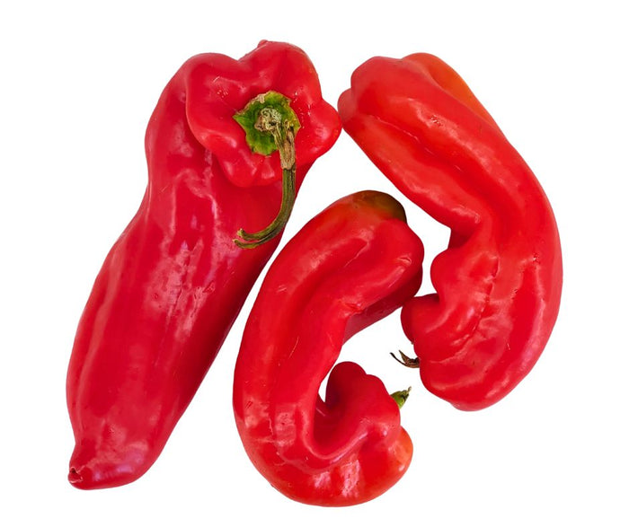 Fresh - Pepper Shepperd (RED)