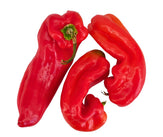 Fresh - Pepper Shepperd (RED)