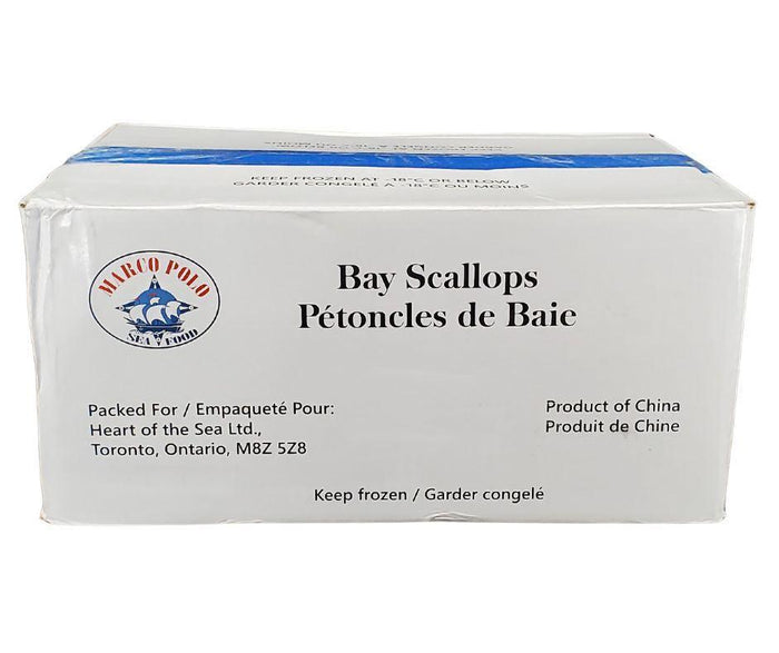 Marco Polo - Bay Scallops 60-80 Count / LB