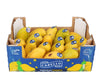 Fresh - Ataulfo Mango (Size 20) - PrMa105