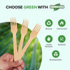 Eco-Craze - Bamboo Forks - Disposable - NBB-F100