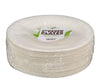 Eco-Craze - 6