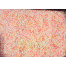 Coconut - Sweet Shredded Rainbow