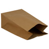 Eco-Craze Kraft Paper Bags - 9.75