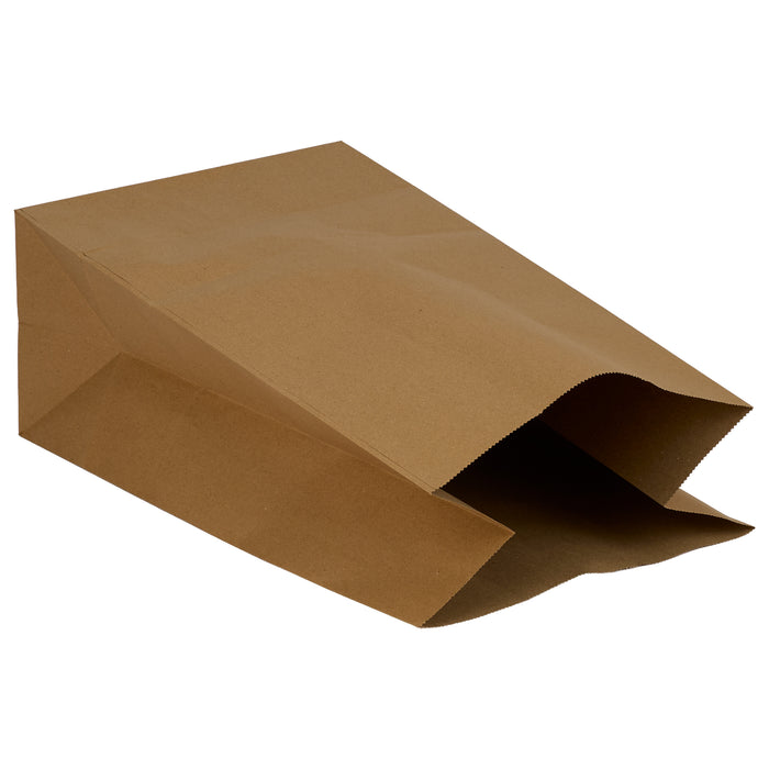 Eco-Craze Kraft Paper Bags - 9.75