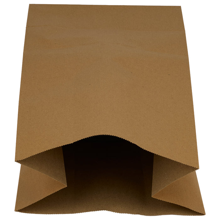 Eco-Craze Kraft Paper Bags - 9.75