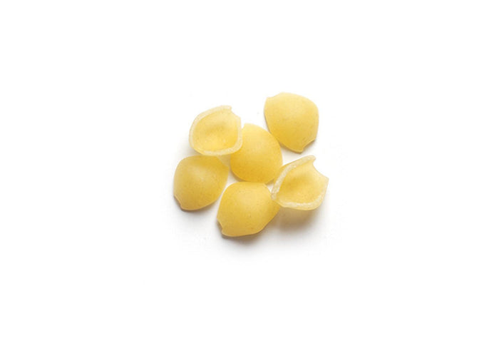 Italpasta - Baby Shells - 2235