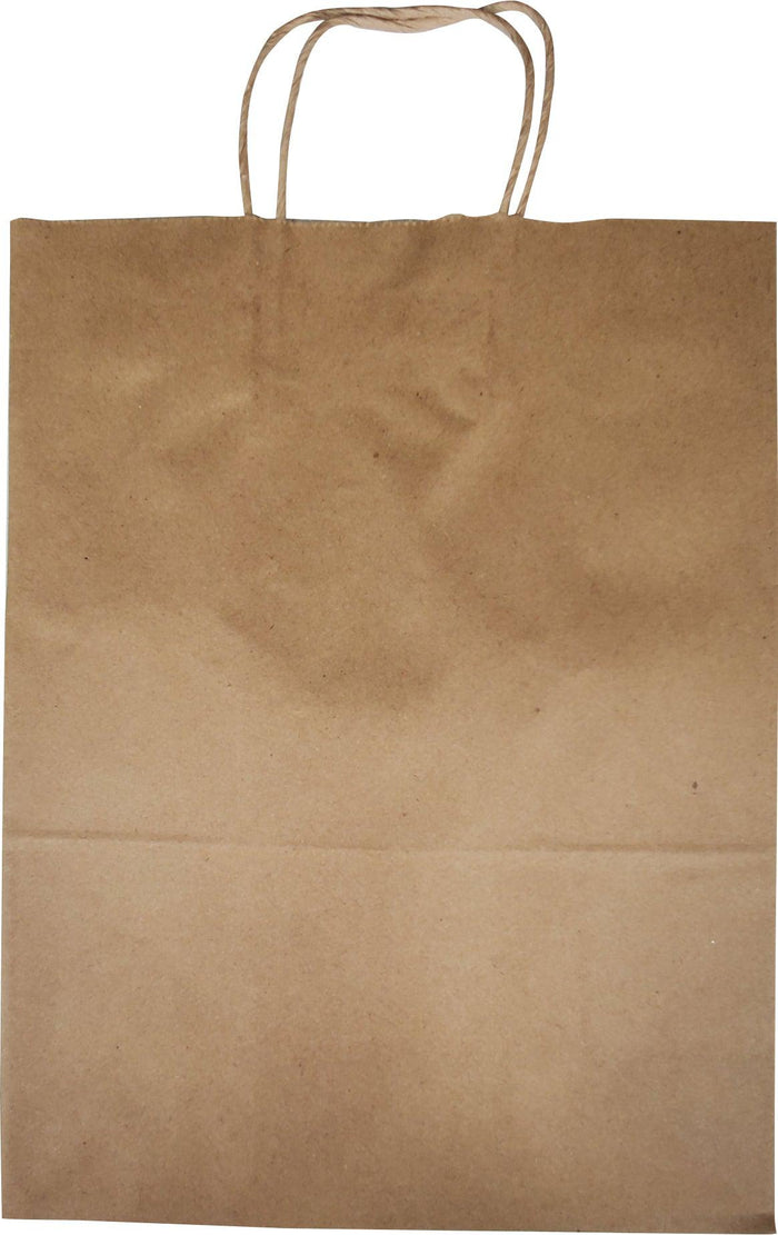 Eco Craze 10x5x13 Kraft Paper Bag Twisted Handle