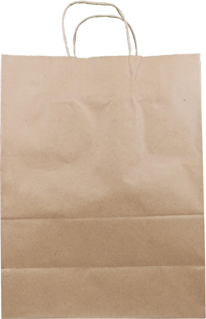 10x5x13 hotsell paper bag
