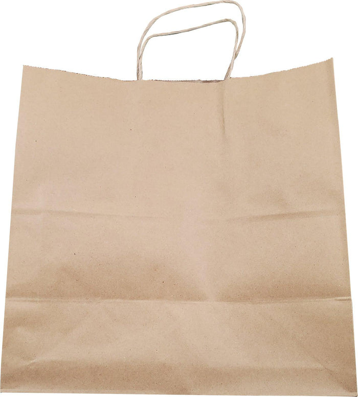 13x7x13 shop paper bag