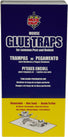 Maxout - Large Rat & Mouse Traps Paper Board