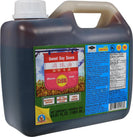 Healthy Boy - DSB Sweet Soy Sauce