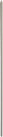 BBQ Skewers - SS (60x0.5 cm)