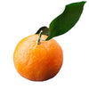 Fresh - Orange - Naval (Size 113)