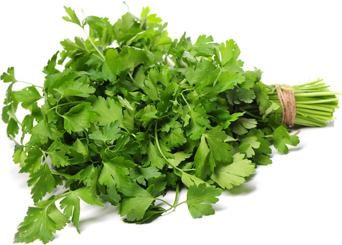 Fresh - Coriander/Cilantro