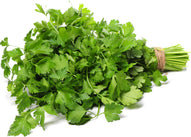 Fresh - Coriander/Cilantro