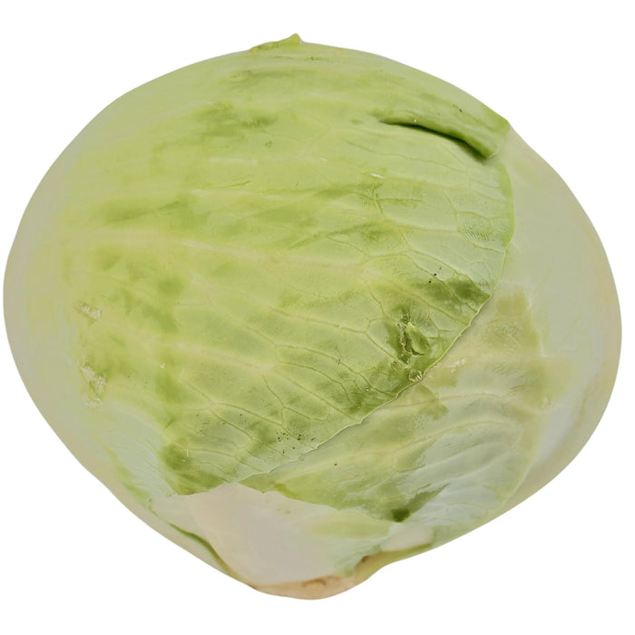 Fresh - Cabbage - Green