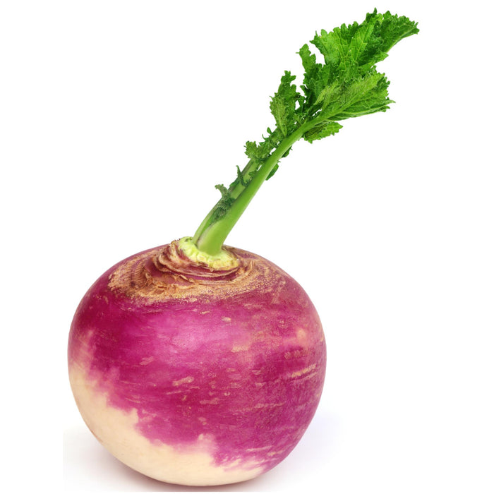 Fresh - Turnips - Loose