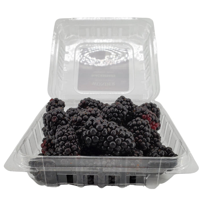 Fresh - Blackberry