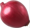 Fresh - Onion - Red