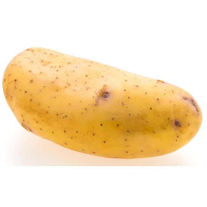 Fresh - Potato - Yukon Gold