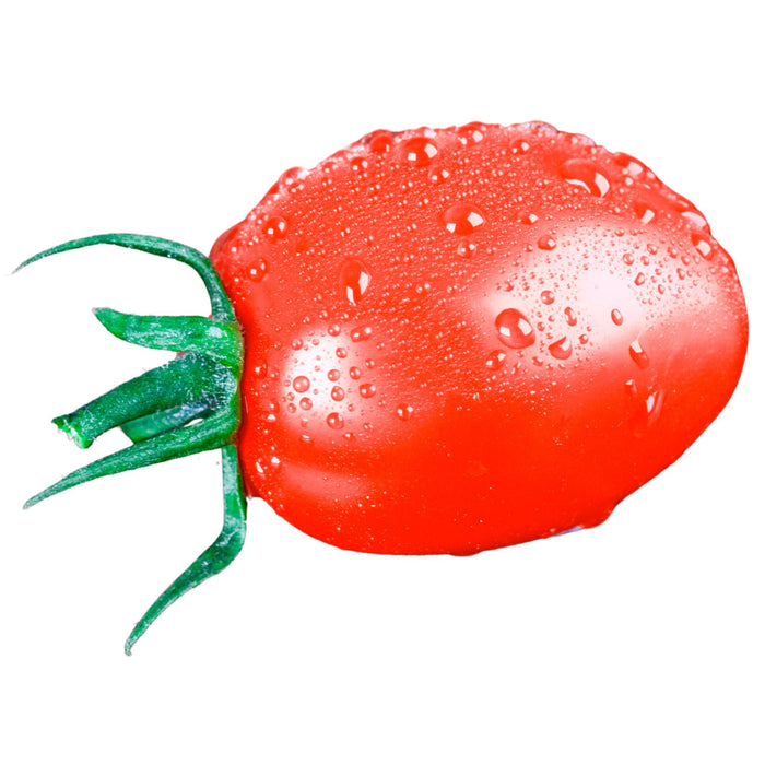 Fresh - Tomato - Roma