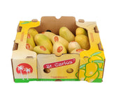 Fresh - Mango Ataulfo - Size 16