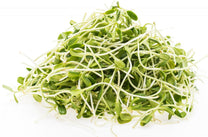 Fresh - Bean Sprout