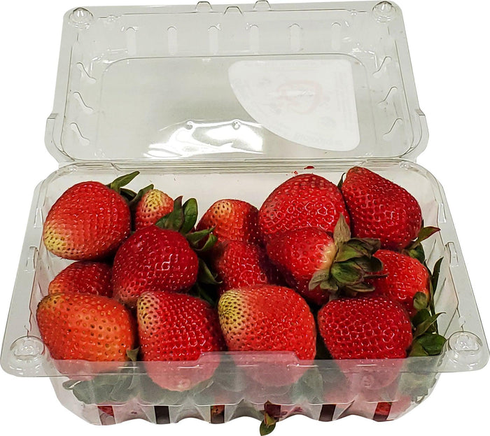 Fresh - Strawberry