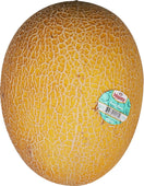 Fresh - Melon Hami