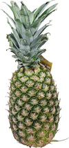Fresh - Pineapple